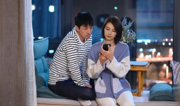 完美伴侣电视剧,爱情与事业的完美交织